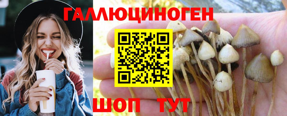 Псилоцибиновые грибы мухоморы  Вход с VPN  Острогожск 