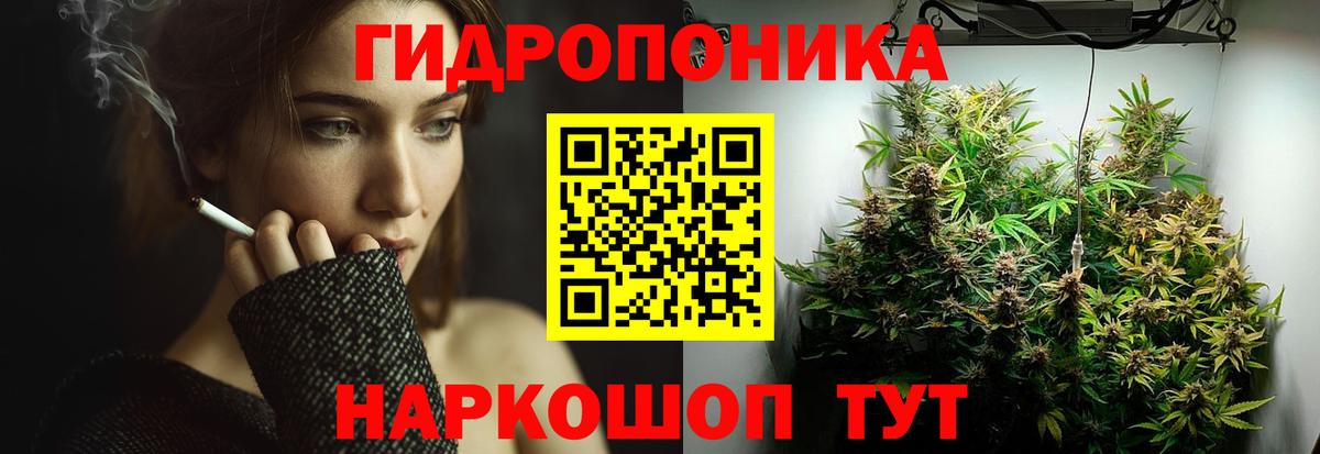Бошки марихуана гибрид Острогожск